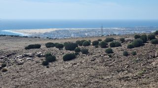 2024-02-GranCan-Playa Del Aguila-Trek-61.jpg